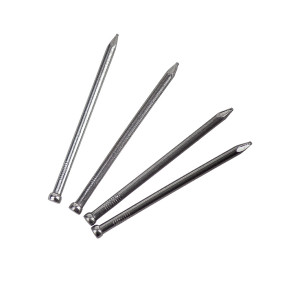 Four shiny metal nails with flat heads and pointed tips are arranged on a white background, slightly overlapping each other.