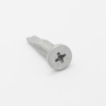A single silver Phillips head screw with a flat top and a pointed, self-tapping tip, placed on a plain white background.