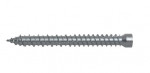 A close-up image of a single metal screw with a pointed tip and helical threads, lying horizontally on a white background.