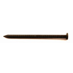 A close-up image of a single, dark metallic nail with a flat head and a pointed tip, photographed against a plain white background.
