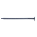 A close-up of a single metal nail with a flat head and pointed tip, shown against a white background.
