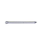 A single metal nail with a flat head and pointed tip, shown against a plain white background.