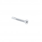 A single silver metal screw with a Phillips head and threaded body, positioned diagonally on a plain white background.