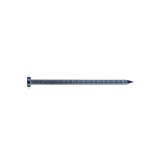 A single silver metal nail with a flat head and a pointed tip, featuring a ridged shank, isolated on a white background.