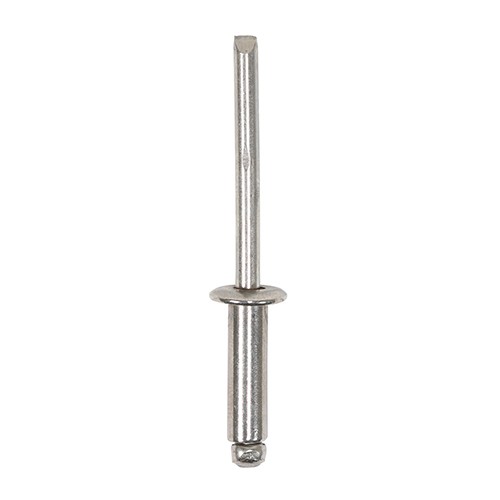 Timco Dome Head Rivets - Stainless Steel