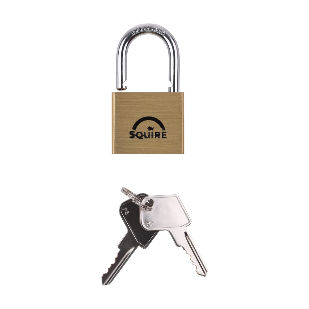 Timco Premium Brass Lion Padlock - Keyed Alike