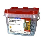 Timco Presser Point Staples Galvanised - 2.5kg