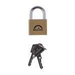 Timco Premium Brass Lion Padlock - Keyed Alike