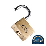Timco Premium Brass Lion Padlock - Stainless Steel Shackle