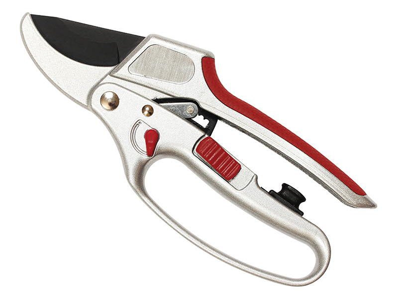 Kent & Stowe K/S70100605 2-in-1 Ratchet Anvil Secateurs