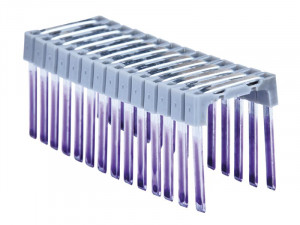 A steel wire nail with a flat head and a smooth shank, for general-purpose timber fastening.