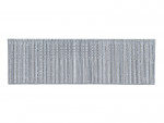 A galvanised wire nail with a flat head and a smooth shank, for general-purpose timber fastening.