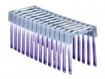 A steel wire nail with a flat head and a smooth shank, for general-purpose timber fastening.