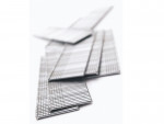 A steel wire nail with a flat head and a smooth shank, for general-purpose timber fastening.