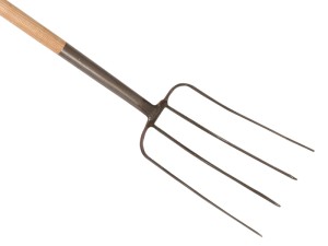 A Faithfull garden fork with four hardened steel tines and a wooden handle, for breaking up soil and lifting root vegetables.