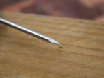 A steel wire nail with a flat head and a smooth shank, for general-purpose timber fastening.