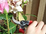 A Faithfull hand tool with a metal working end and an ergonomic handle, designed for general construction and maintenance tasks.