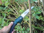 A pruning saw with a curved, hardened blade and an ergonomic handle, for cutting green timber, branches, and shrubs.