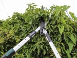 A Faithfull hand tool with a metal working end and an ergonomic handle, designed for general construction and maintenance tasks.