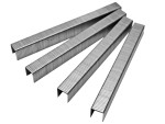 A steel wire nail with a flat head and a smooth shank, for general-purpose timber fastening.
