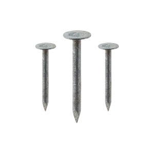 Selection of Roofing Nails