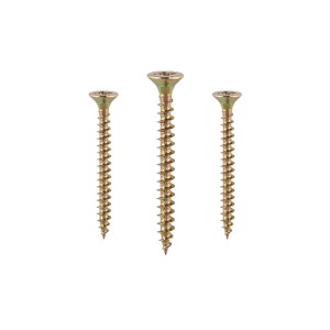 A selection of Wood Screws